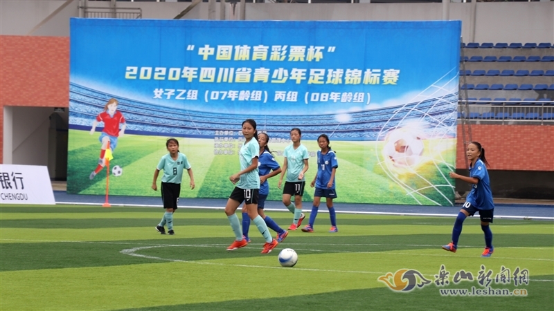 马尔所挣的