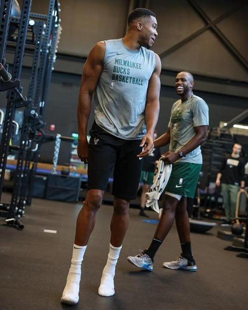 [乒乓球]樊振东率队夺得德国杯冠军